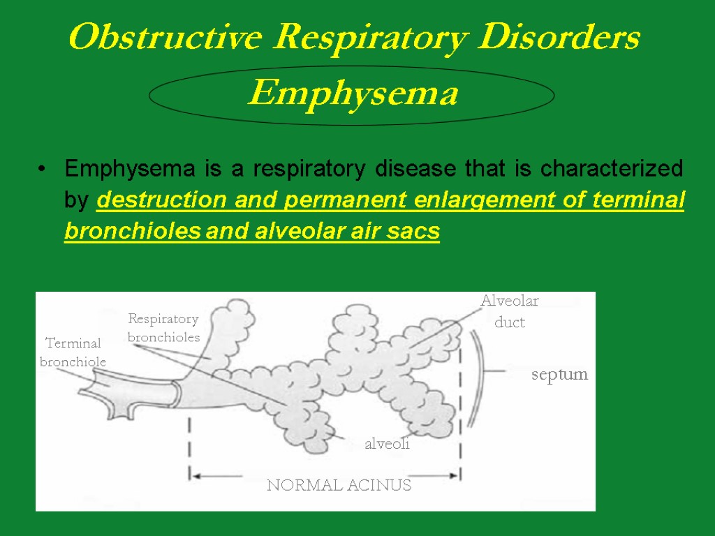 Emphysema is a respiratory disease that is characterized by destruction and permanent enlargement of